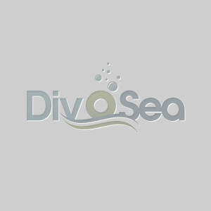 VALENTINE'S DIVE CENTER