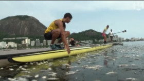 poissons-morts-rio