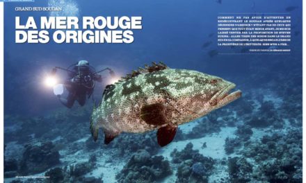 Soudan, la mer rouge des origines…dans notre numéro 141