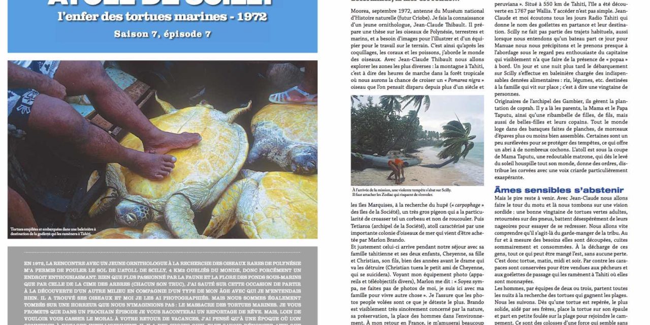 Atoll de Scilly, l’enfer des tortues…dans notre numéro 141