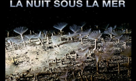 Dédicaces au Salon 2017 : La nuit sous la mer