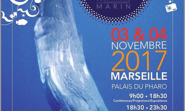 Aquatic Festival: le renouveau du Festival de l’image sous marine à Marseille le 3 & 4 novembre 2017