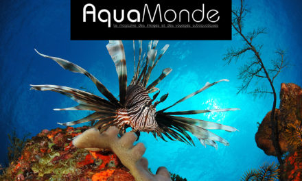 AquaMonde. Dans Plongeurs International numéro 149.