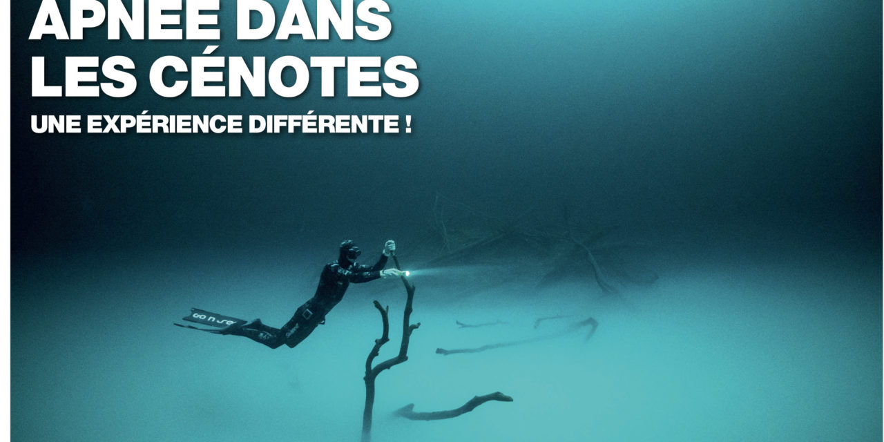 Apnée dans les Cénotes. Dans le numéro 149 de Plongeurs International