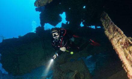 Vestiges et vertiges en Mer Rouge