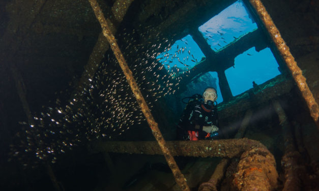 Vestiges et vertiges en Mer Rouge