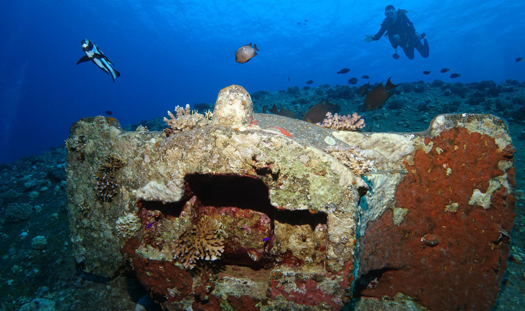 Vestiges et vertiges en Mer Rouge