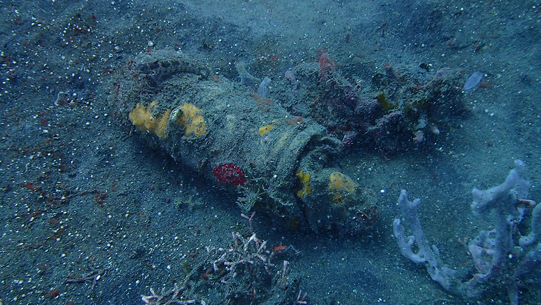 A la découverte du détroit de Lembeh… 1