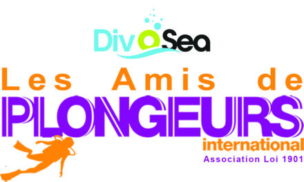 DIVOSEA – LES AMIS DE PLONGEURS INTERNATIONAL